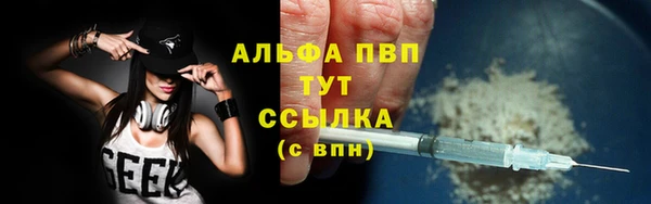 амф Богородицк