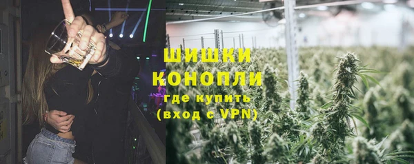 амф Богородицк