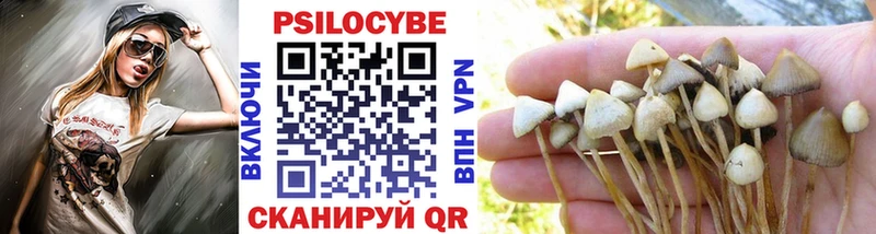 MEGA ССЫЛКА  Сковородино  Галлюциногенные грибы MAGIC MUSHROOMS 